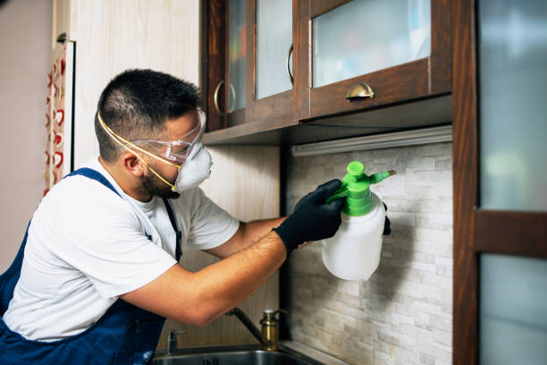 Best Wildlife Control Services  in Atascocita, TX