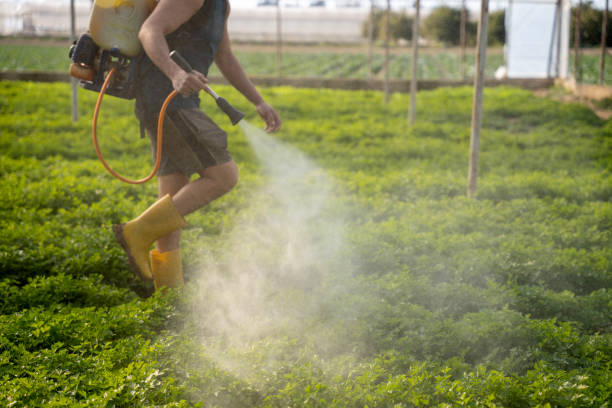 Best Best Pest Control Companies  in Atascocita, TX