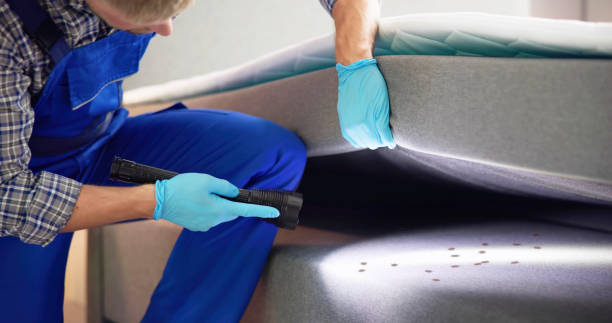 Best Local Pest Control Services  in Atascocita, TX