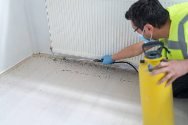 Best Rat Extermination Near Me  in Atascocita, TX