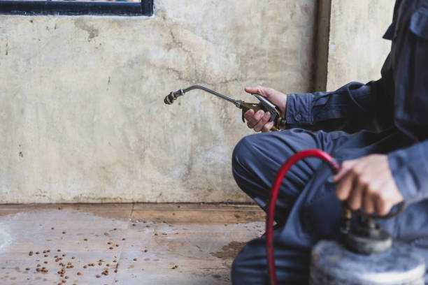 Wasp Removal Services in Atascocita, TX