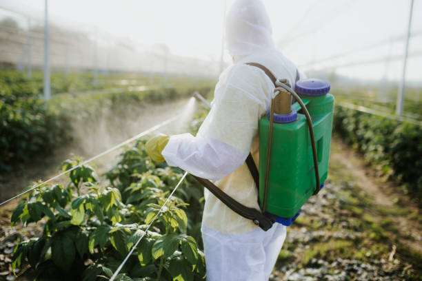 Best Flea Control Services  in Atascocita, TX